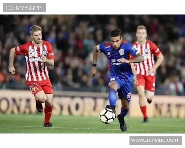 纽卡飞机事件引发墨尔本审理影响国际航空安全与法律争议