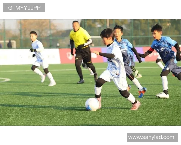 免费观看现场足球比赛直播畅享激情赛事体验