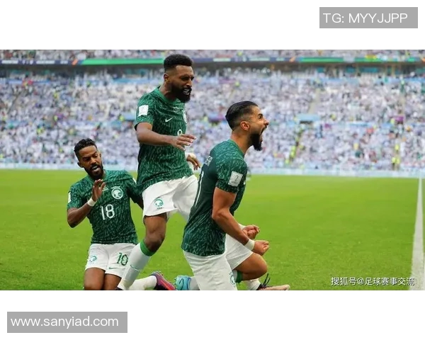 卡塔尔与尼日利亚比赛结果分析及精彩瞬间回顾