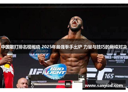 中国散打排名榜揭晓 2025年最强拳手出炉 力量与技巧的巅峰对决