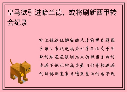 皇马欲引进哈兰德，或将刷新西甲转会纪录