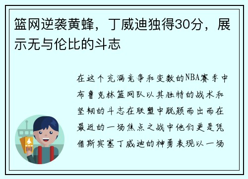 篮网逆袭黄蜂，丁威迪独得30分，展示无与伦比的斗志